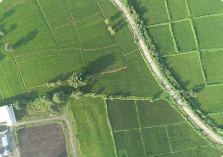 agriculture-sector