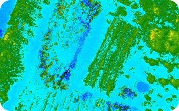 irrigation-monitoring-planning